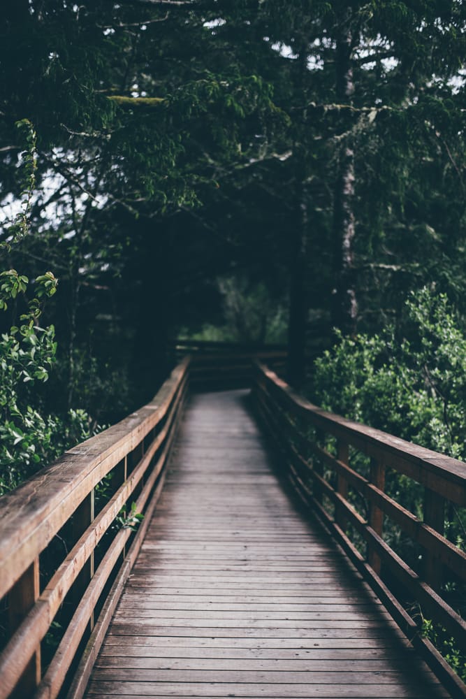 Bridge